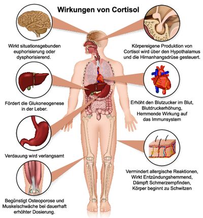 Cushing Syndrom Hyperkortisolismus Ursachen Symptome Behandlung