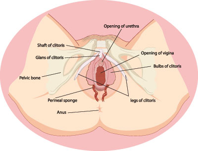 Pickel in der vagina