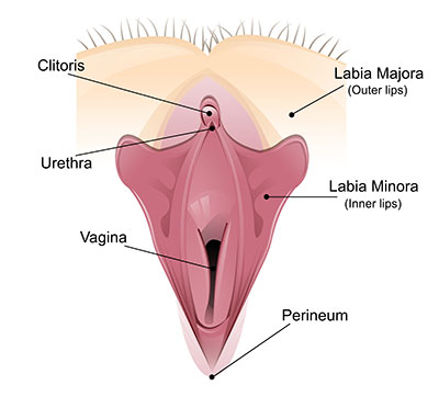 Zu grosse klitoris