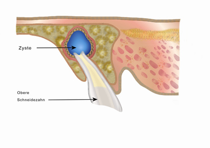 medlexi.de